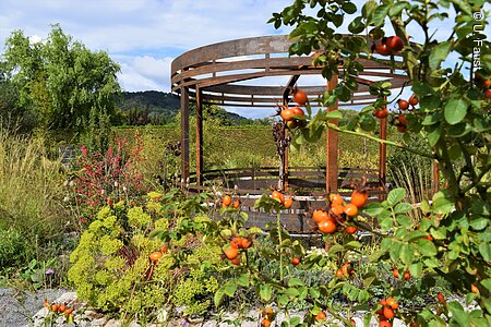 Ewiger Garten (Erlabrunn, Fränkisches Weinland)