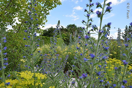 Ewiger Garten (Erlabrunn, Fränkisches Weinland)