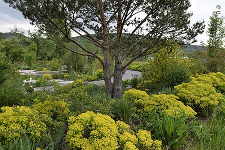 Ewiger Garten (Erlabrunn, Fränkisches Weinland)