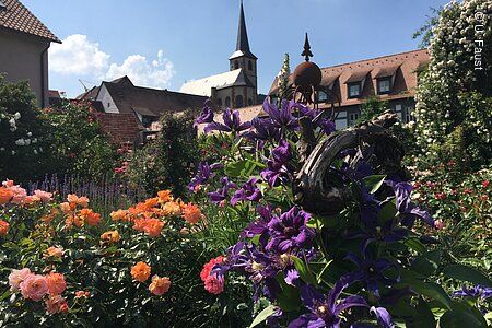 Clematisdorf (Erlabrunn, Fränkisches Weinland)