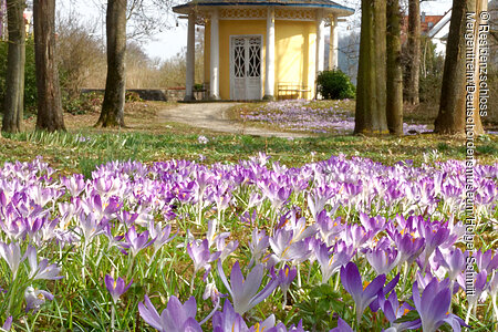 Schellenhäuschen im Schlosspark (Bad Mergentheim, Liebliches Taubertal)