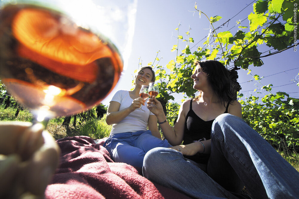 Picknick im Weinberg (Spessart Mainland)