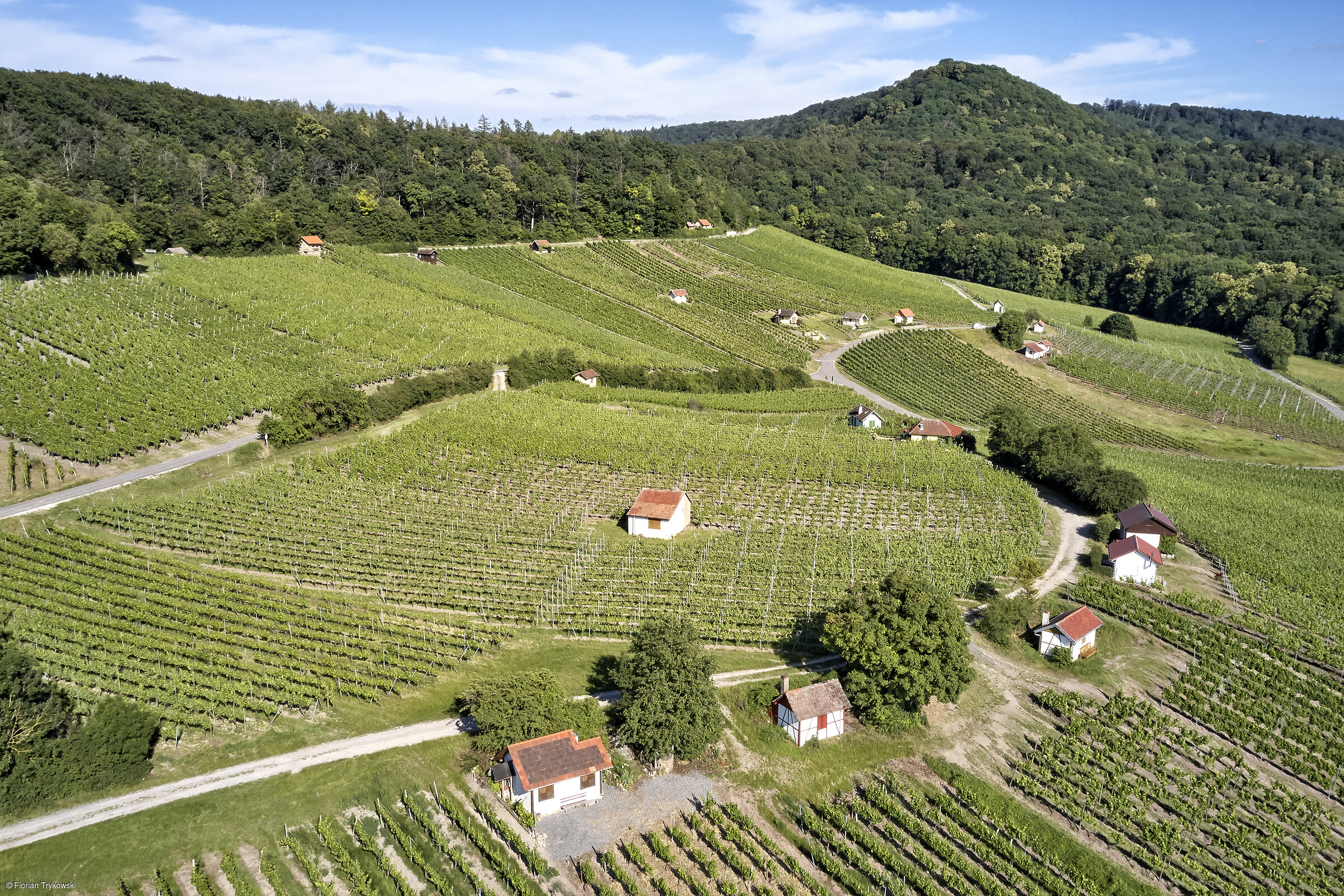 Weinlage Falkenberg (Donnersdorf, Steigerwald)