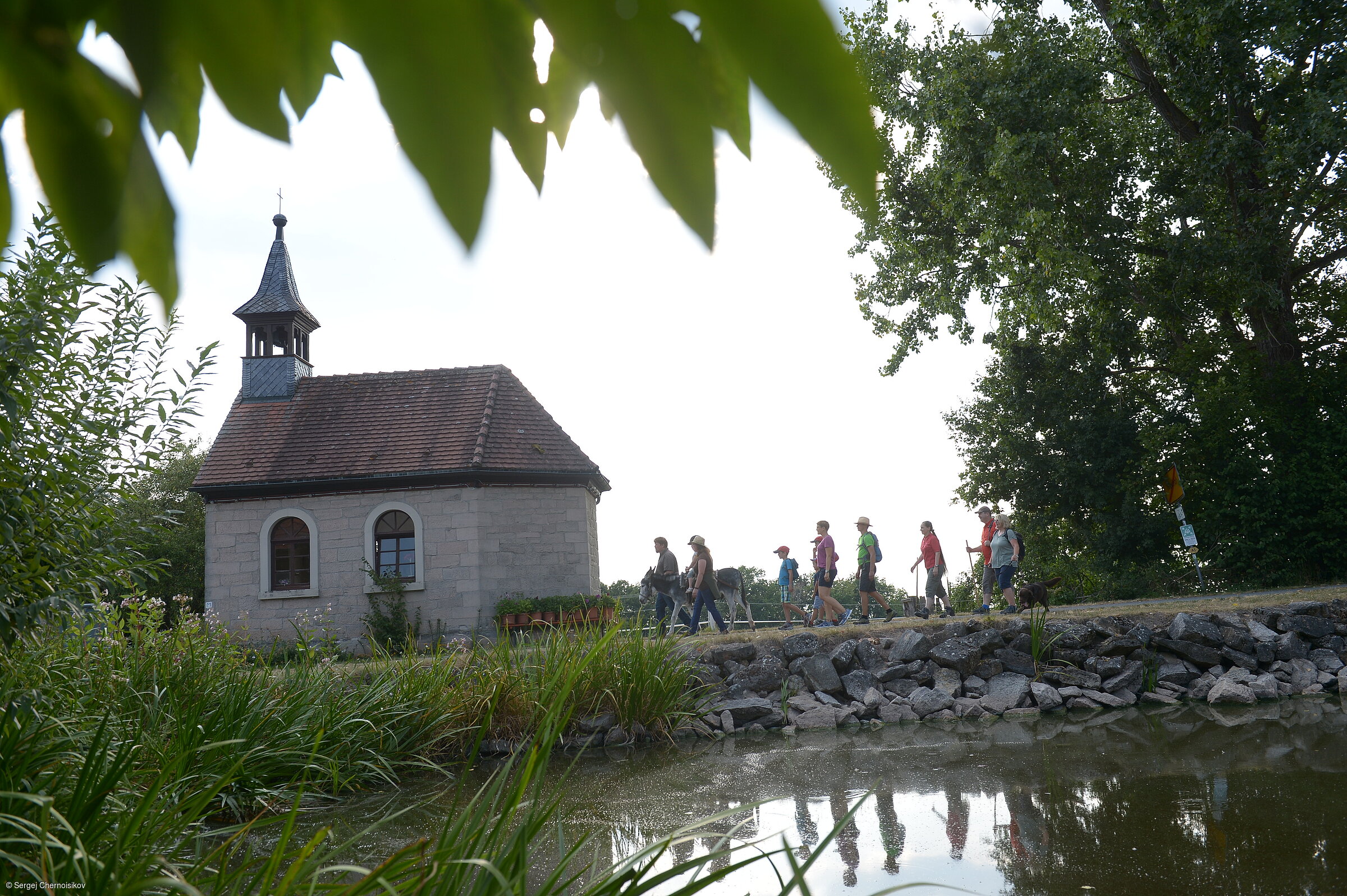 Wandern (Michelau, Steigerwald)