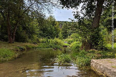 Drei-Burgen-Park (Riedenburg, Naturpark Altmühltal)