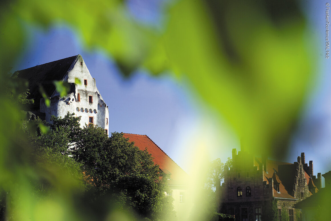 Burg Alzenau (Alzenau, Spessart-Mainland)