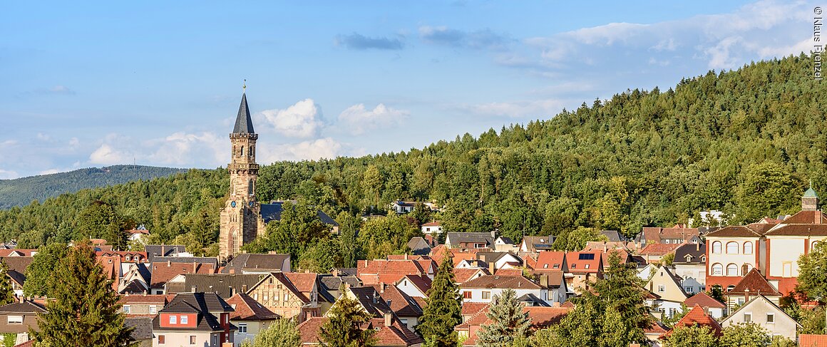 Stadtansicht (Neustadt b.Coburg, Coburg.rennsteig)