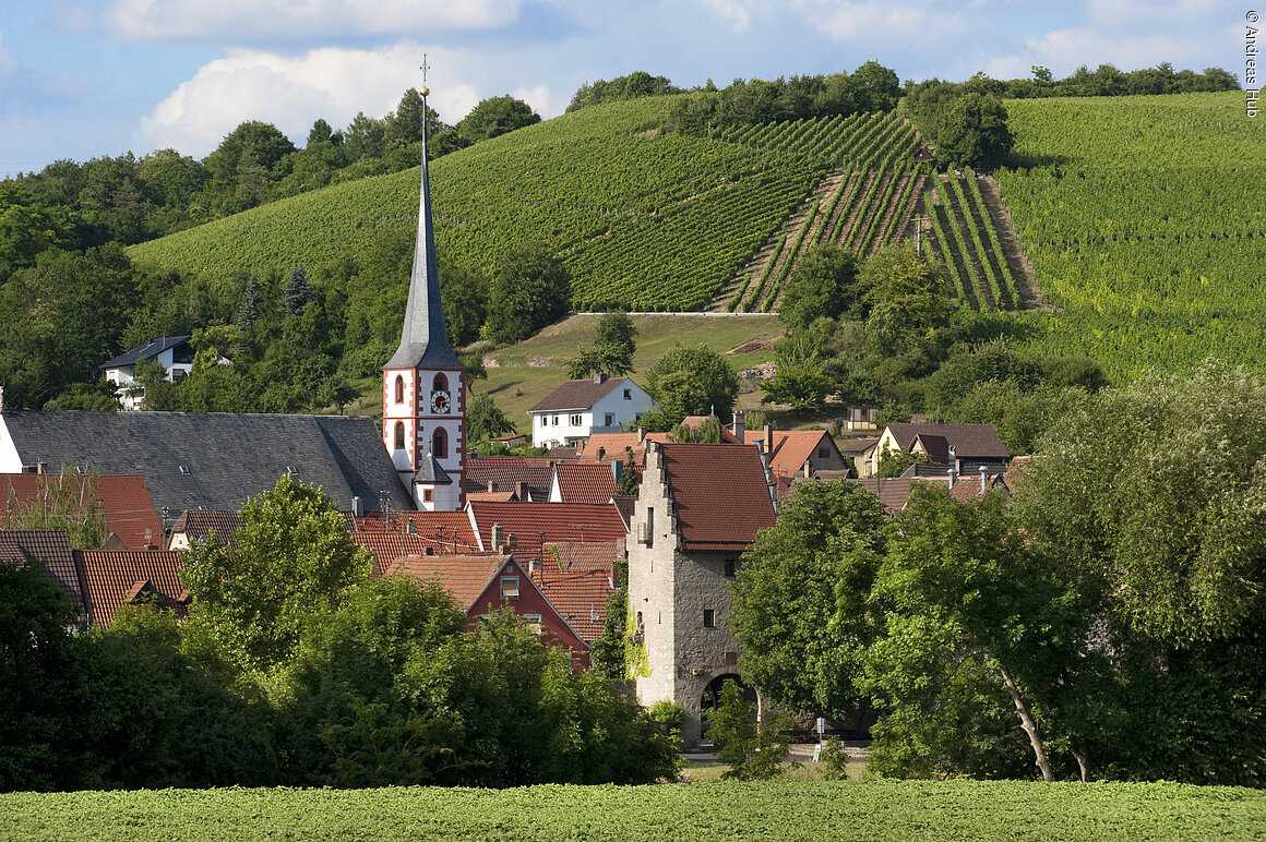 Ortsansicht (Frickenhausen a.Main, Fränkisches Weinland)