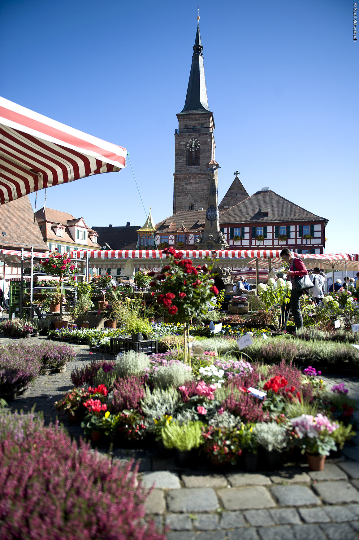 Regionalmarkt (Schwabach, Städteregion Nürnberg)