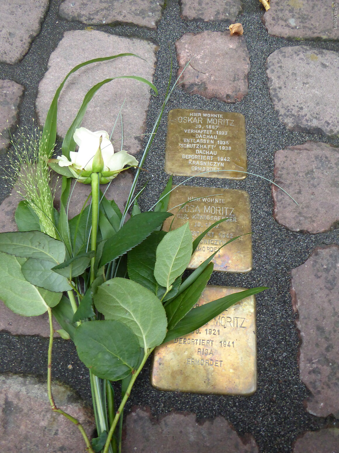 Stolpersteine (Miltenberg, Spessart-Mainland)