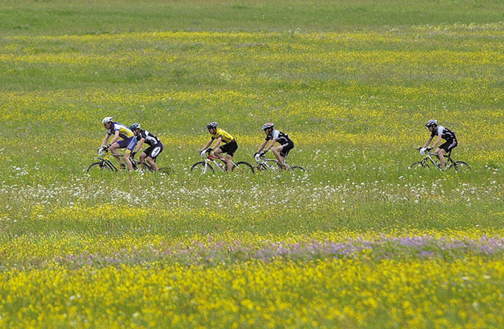 Mountainbiker in der Rhön