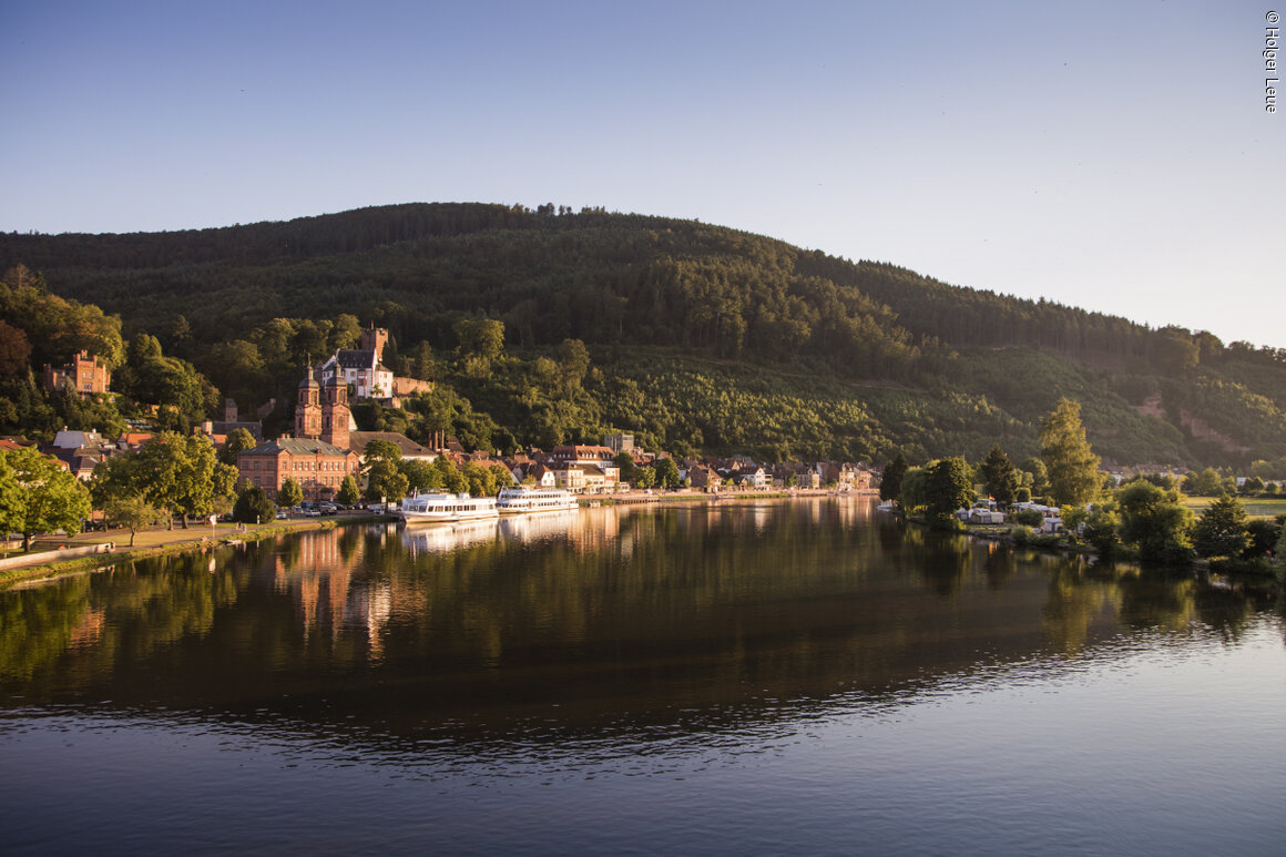 Der Main (Miltenberg, Spessart-Mainland)