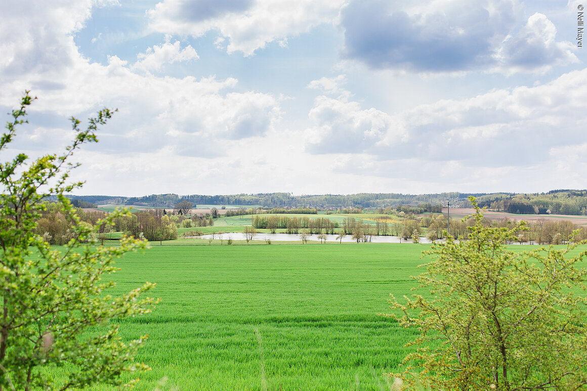 Frühling (Schnelldorf, Romantisches Franken)