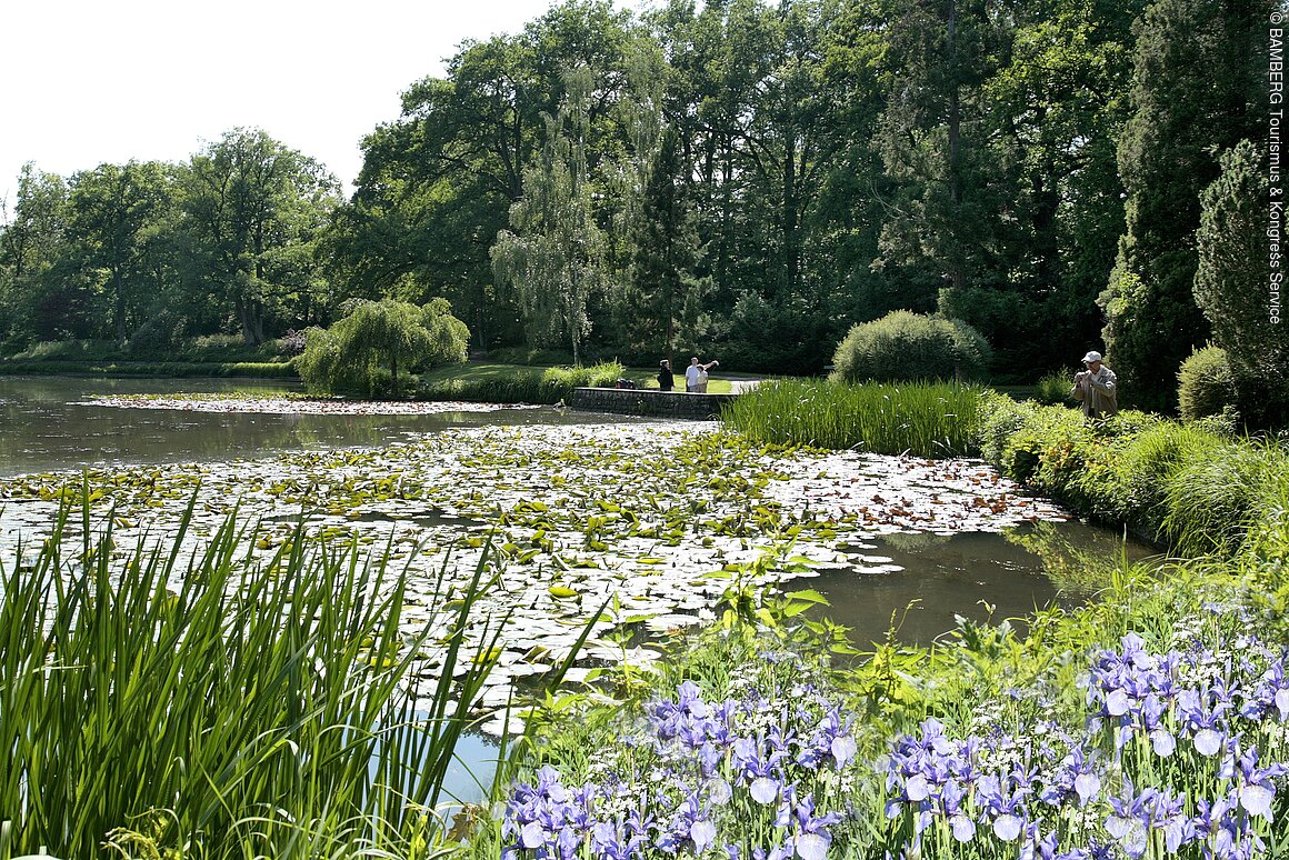 Bürgerpark Bamberger Hain