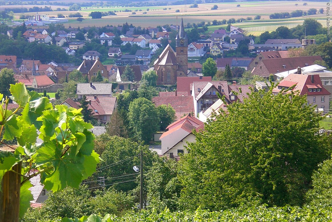 Blick auf Külsheim (Liebliches Taubertal)
