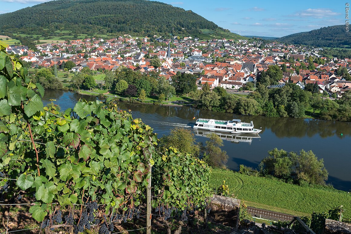 Blick auf den Main (Bürgstadt, Spessart-Mainland)