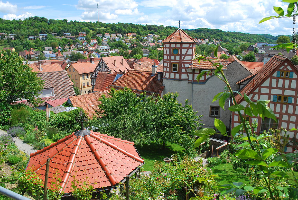 Stadtansicht (Creglingen, Liebliches Taubertal)