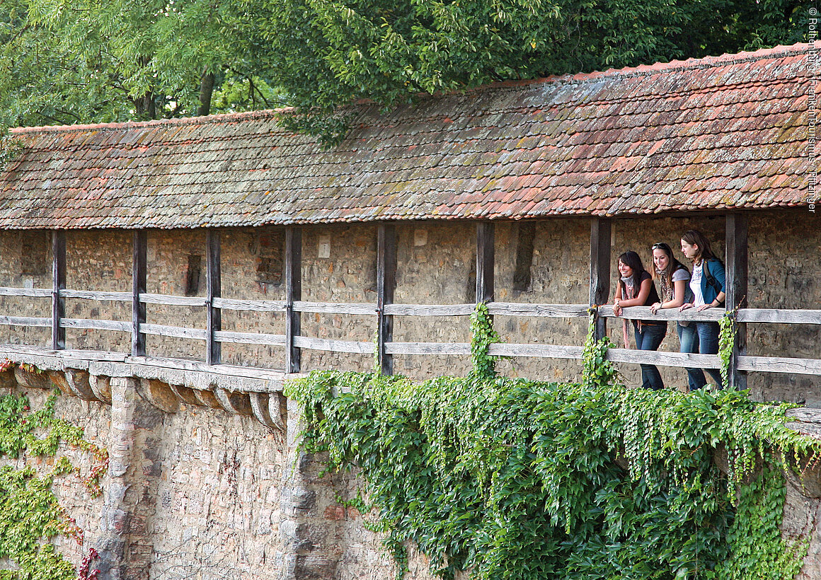 Stadtimpressionen (Rothenburg o.d.T./Romantisches Franken)