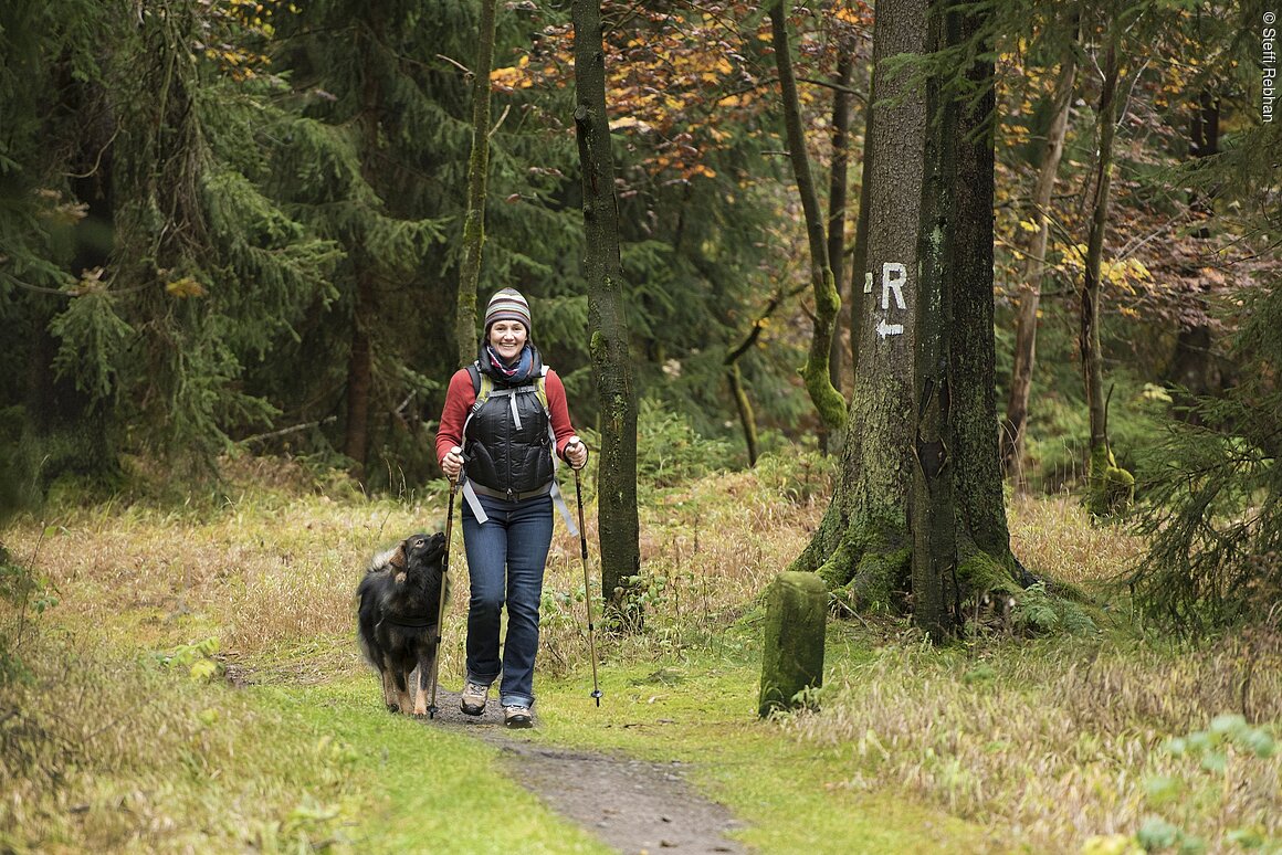 Wandern am Rennsteig (Coburg.Rennsteig)