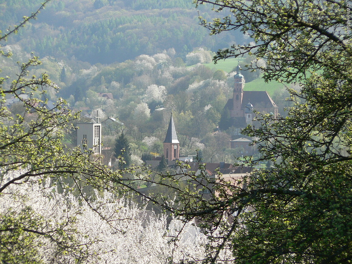 Dreikirchenblick (Bessenbach - Straß- und Oberbessenbach, Spessart-Mainland)