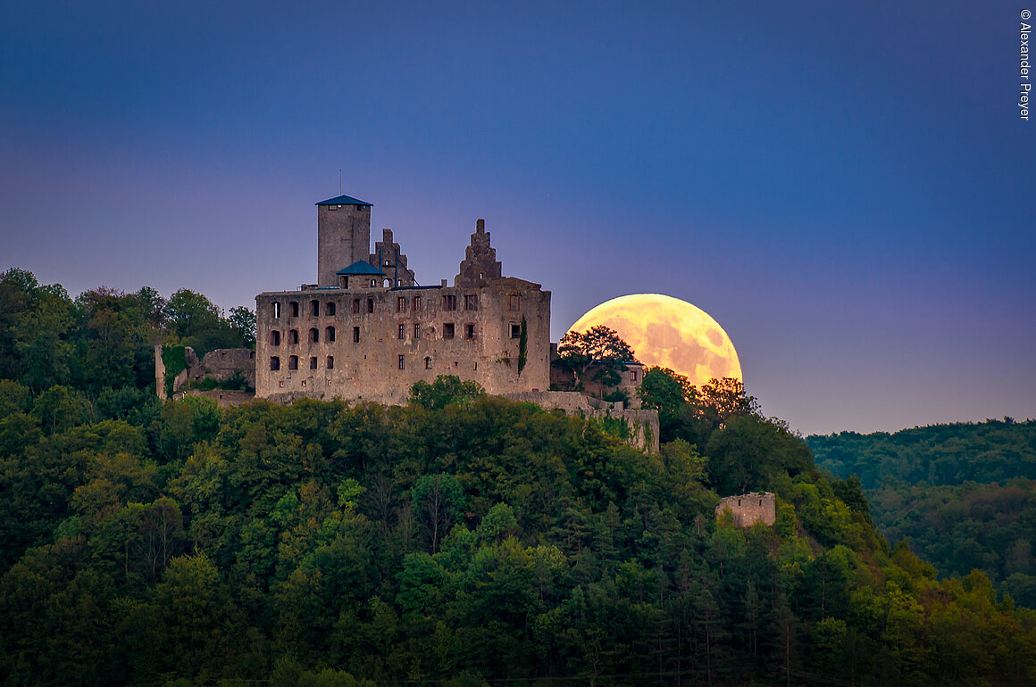 Burgruine Trimburg (Elfershausen, Rhön)