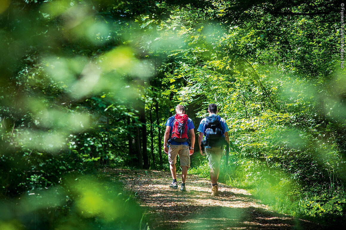 Wandern bei Iphofen (Fränkisches Weinland)