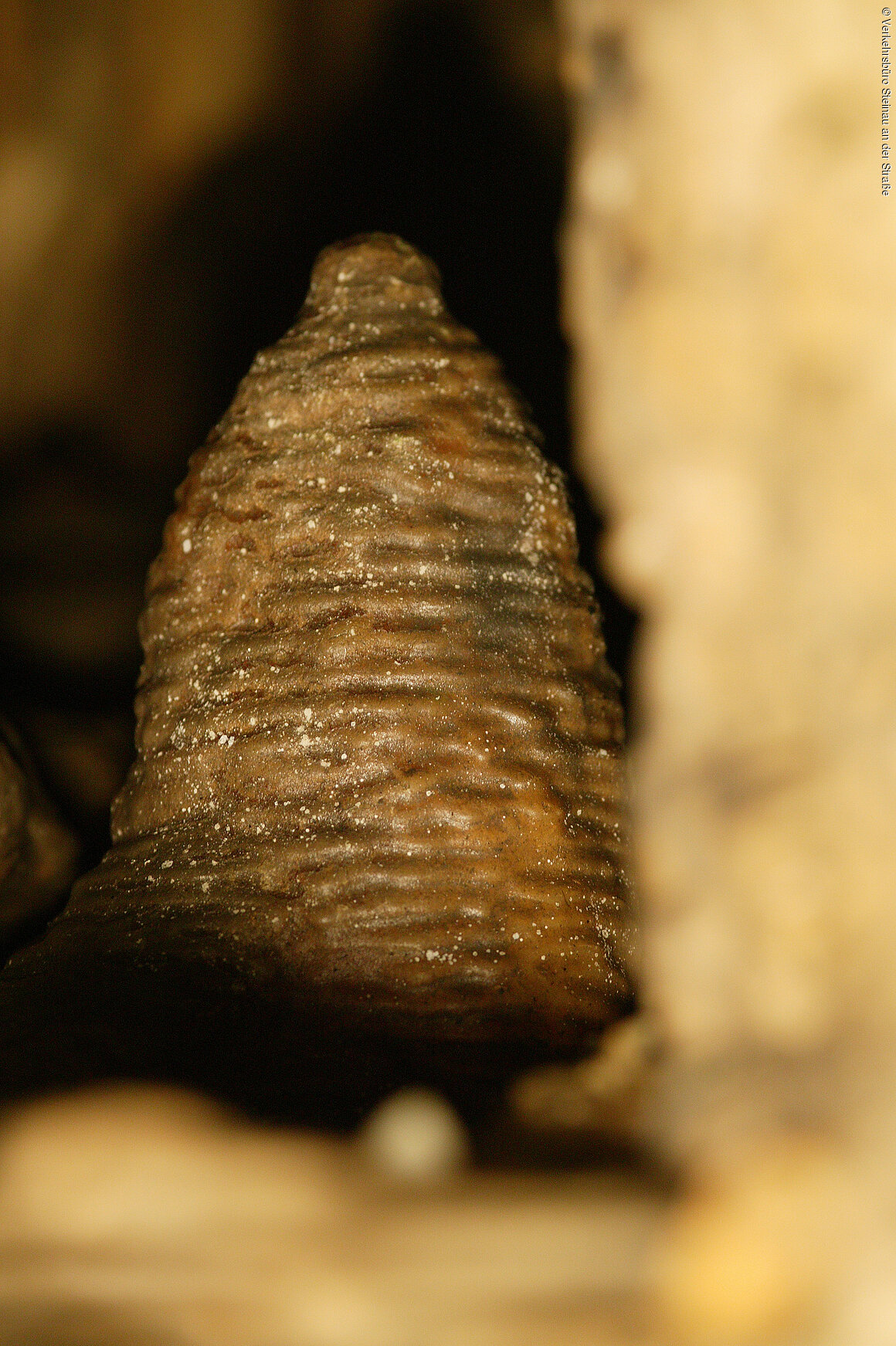 Teufelshöhle (Steinau an der Straße, Spessart-Mainland)