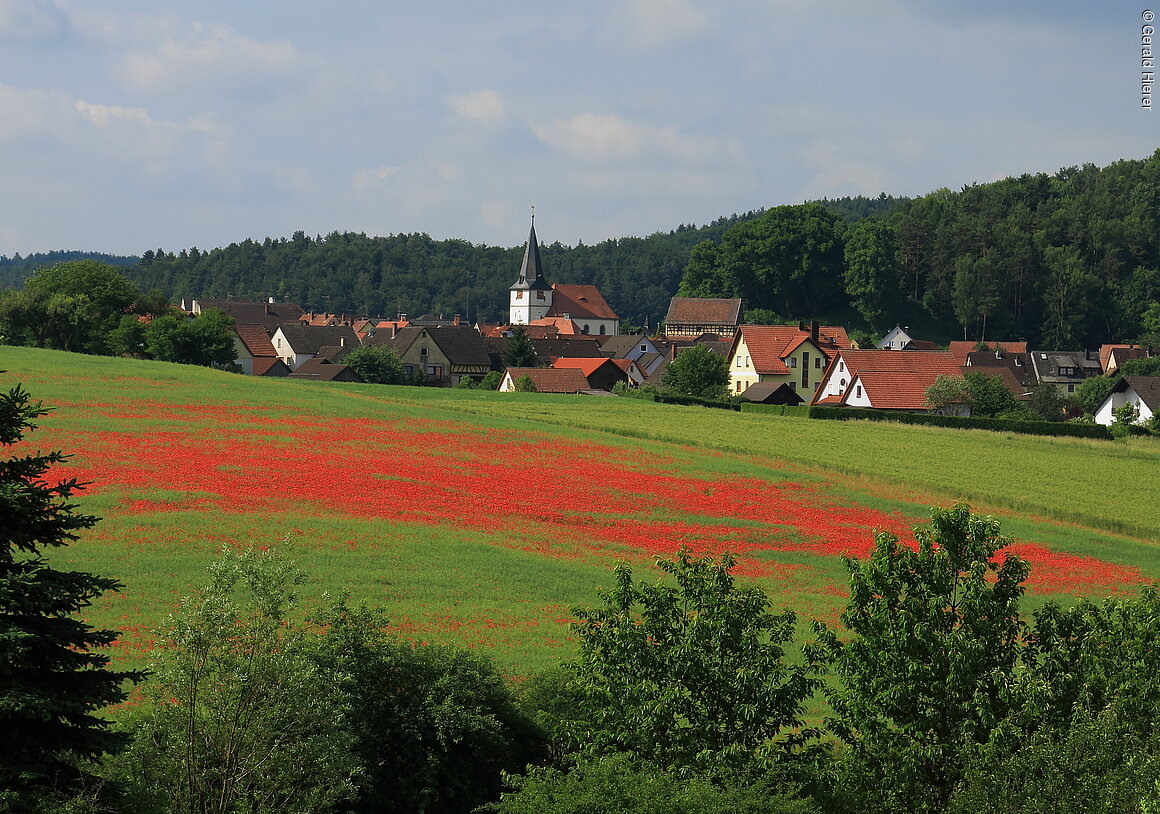 Mohn (Plech, Fränkische Schweiz)