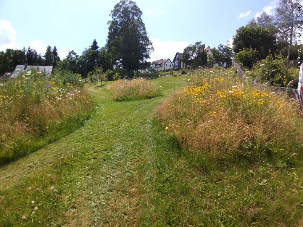 Natur.Kräuter.Garten. Marxgrün (Naila, Frankenwald)