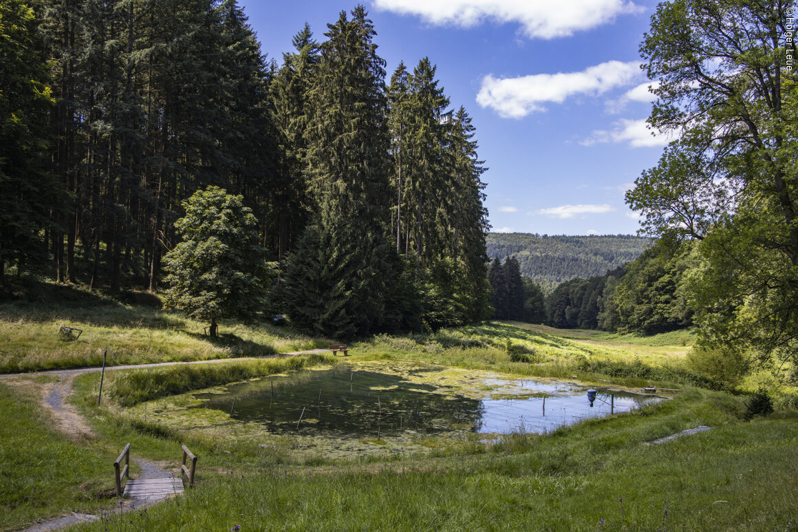 Spessartweg 3