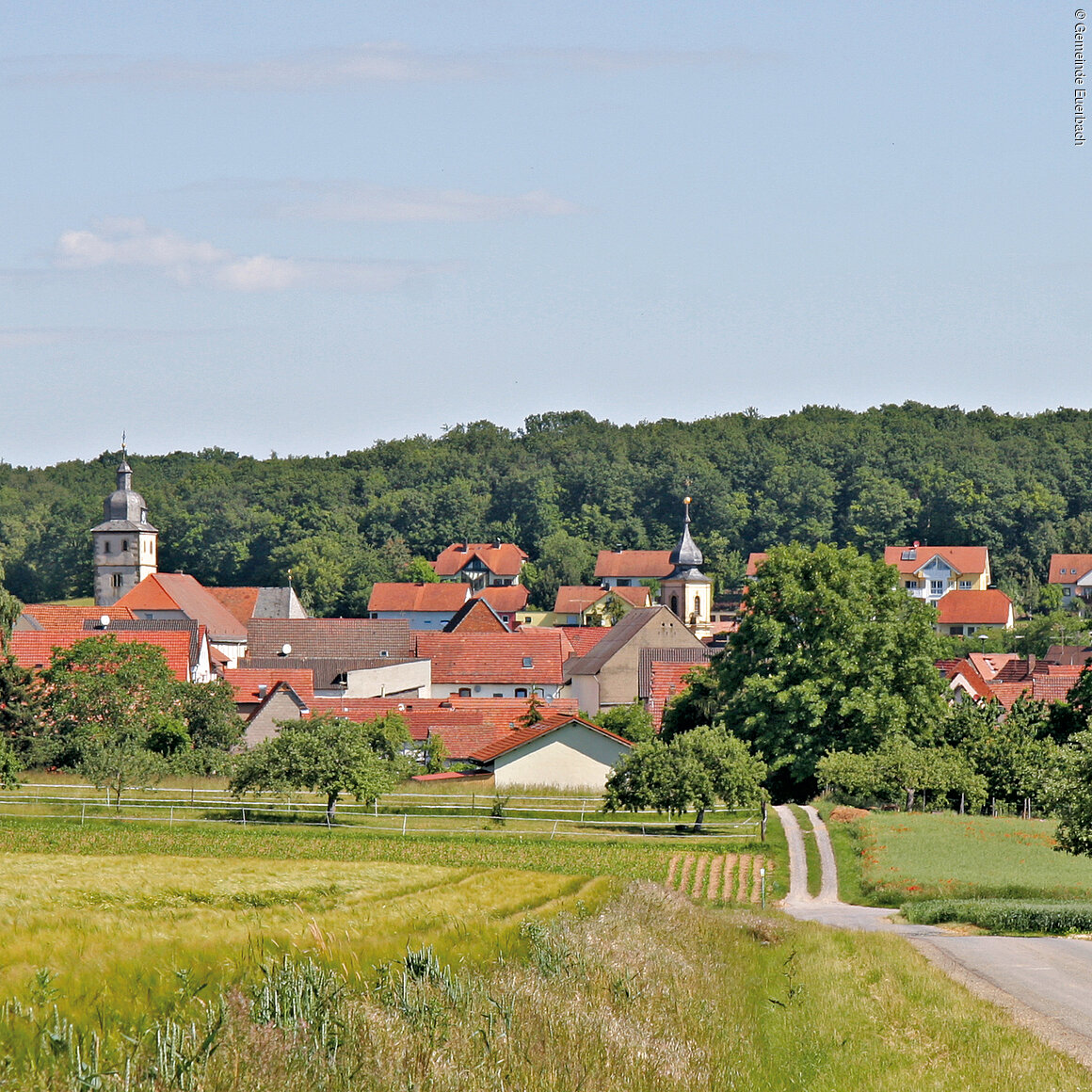 Ortsansicht (Euerbach, Fränkisches Weinland)