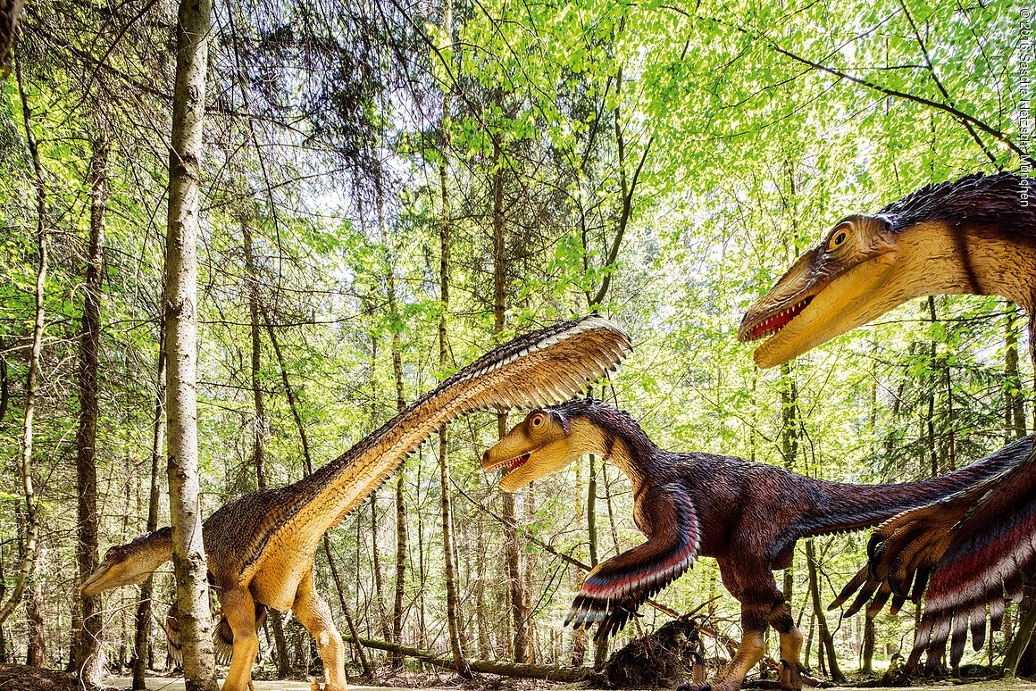 Fotoaufnahmen für Dinosaurierpark Bayern