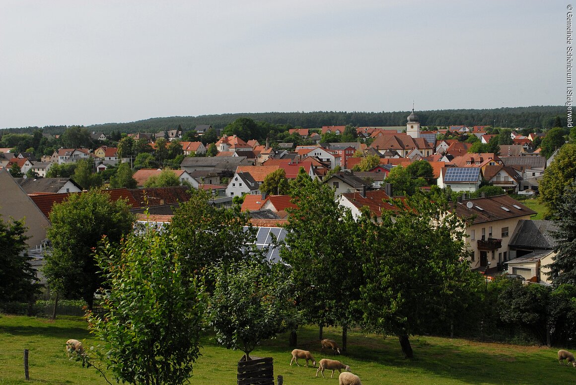 Blick auf die Gemeinde (Schönbrunn i.Steigerwald )