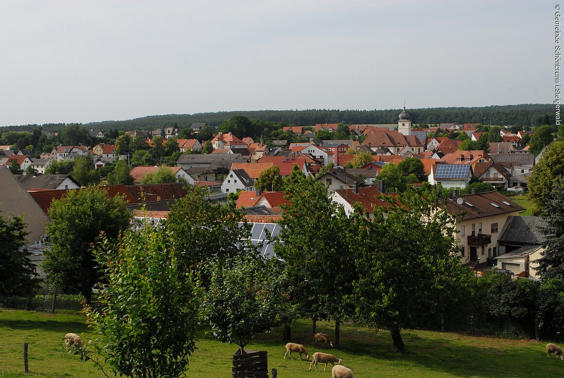 Blick auf die Gemeinde (Schönbrunn i.Steigerwald )