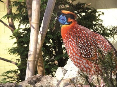 Tierpark Röhrensee Bayreuth