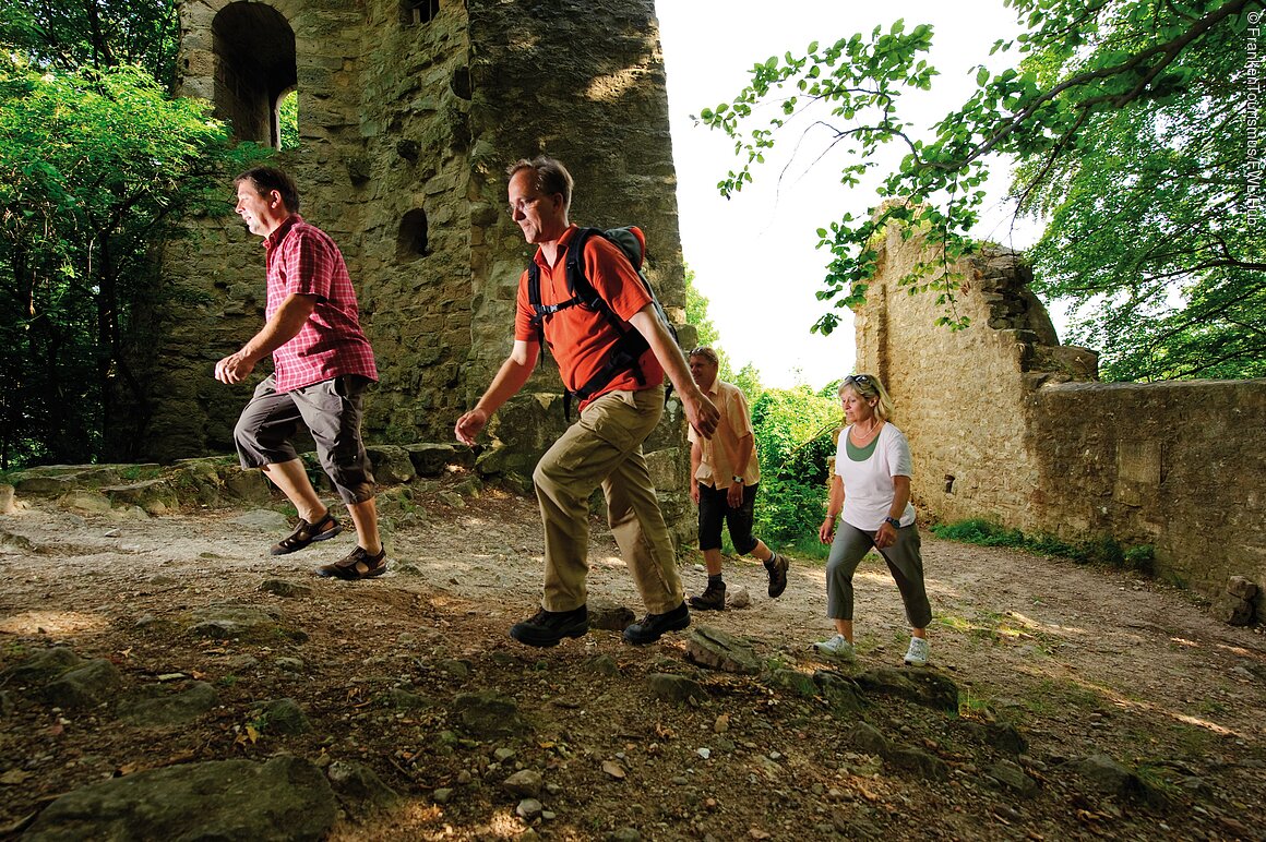 Burgruine Stollburg (Oberschwarzach-Handthal, Steigerwald)