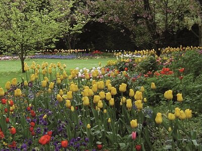 Ringpark Würzburg - Frühjahrspflanzung