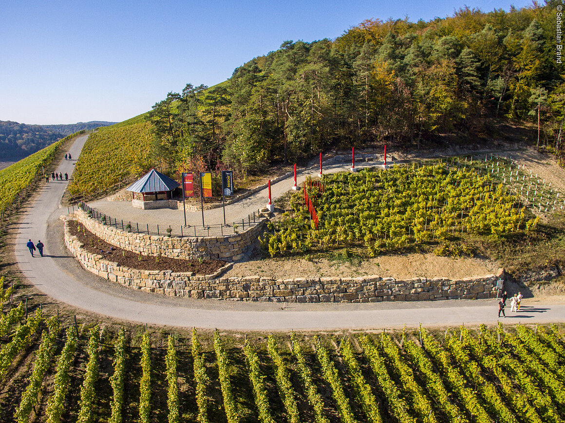 Terroir f (Ramsthal, Fränkisches Weinland)