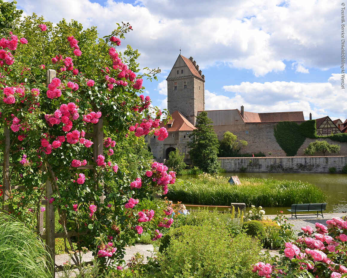 Rosengarten (Dinkelsbühl, Romantisches Franken)