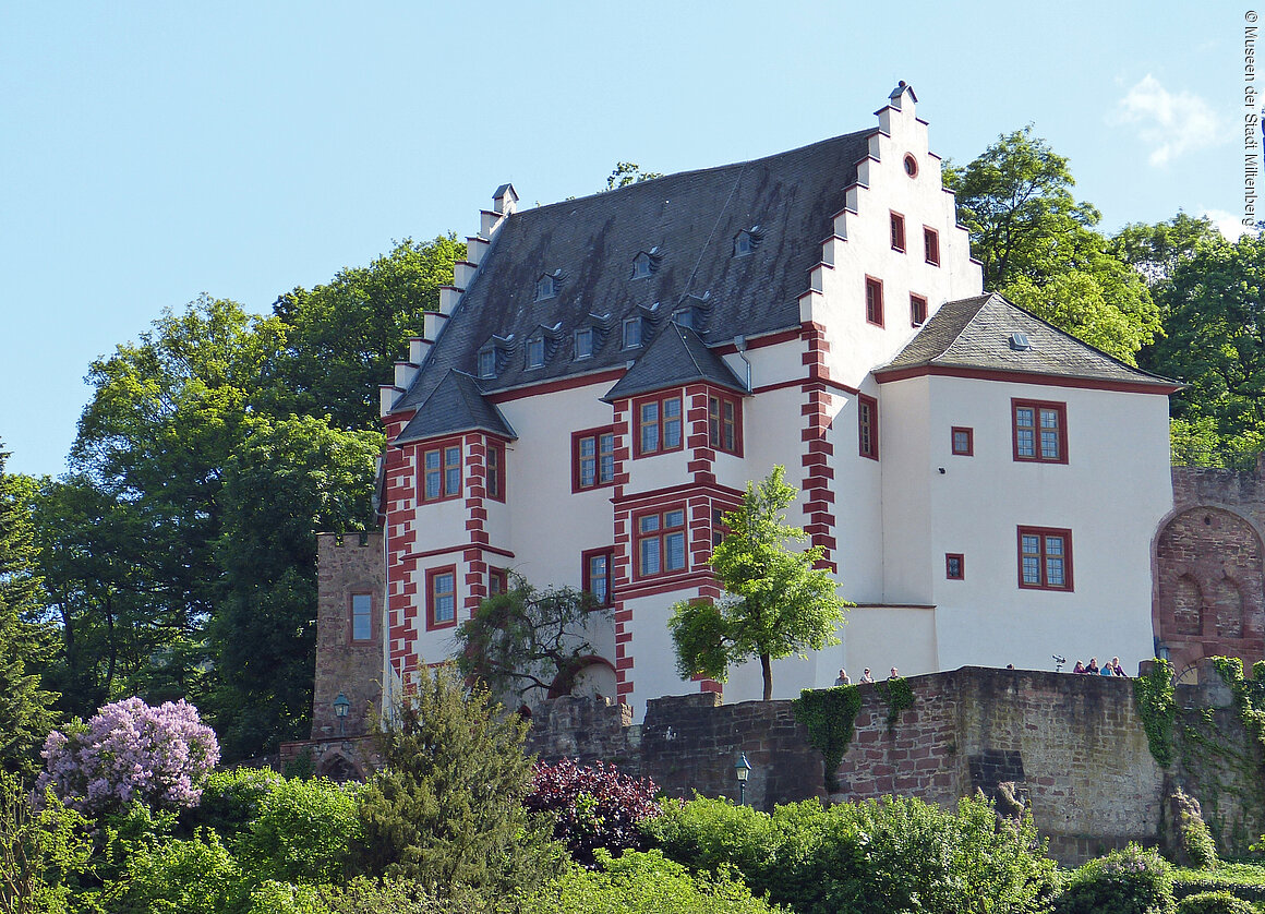 Mildenburg (Miltenberg, Spessart-Mainland)