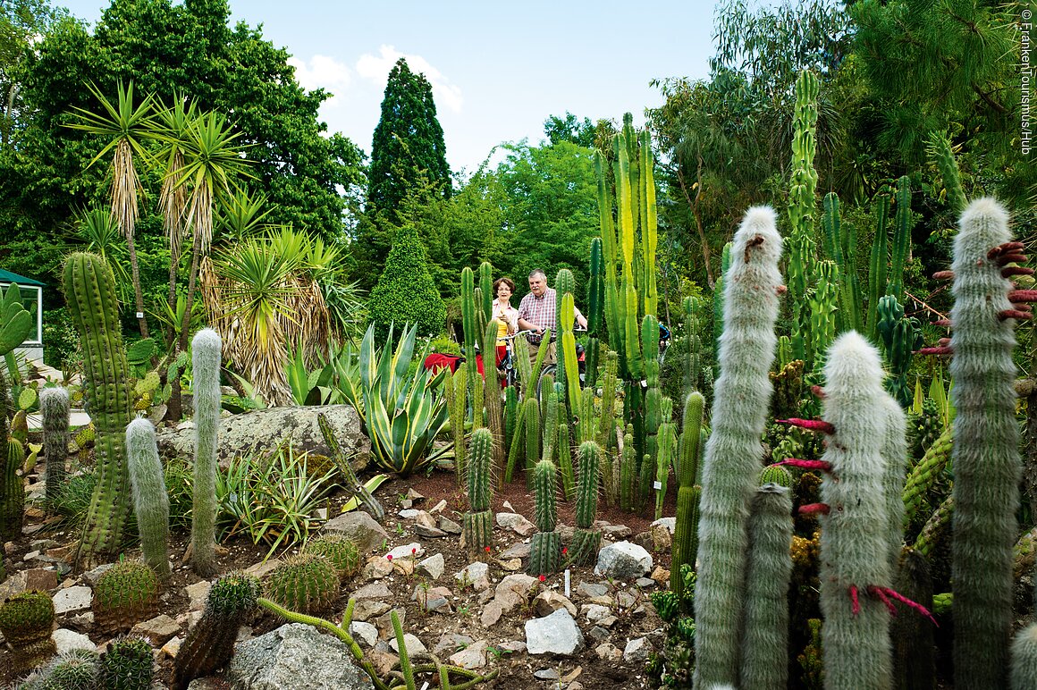 Botanischer Garten, Kakteengarten
