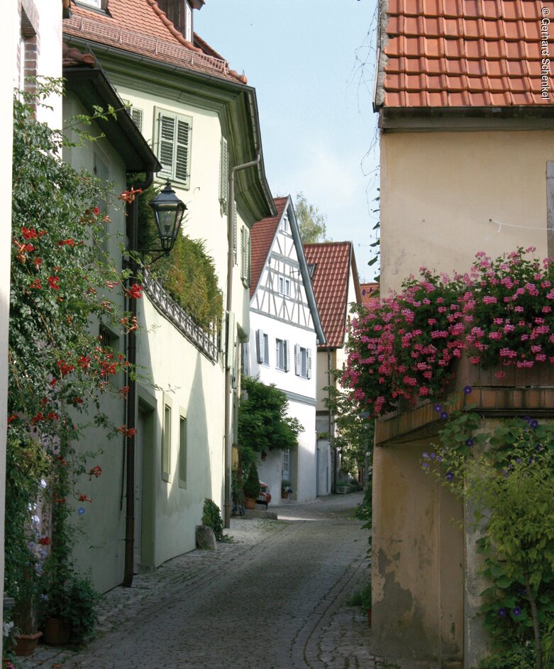 Klostergasse (Sulzfeld a.Main, Fränkisches Weinland)