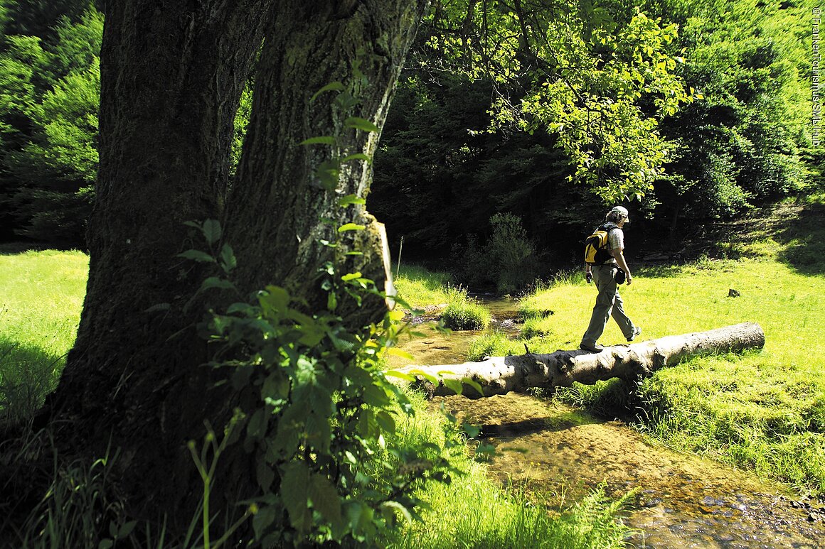 Wanderer bei Weibersbrunn