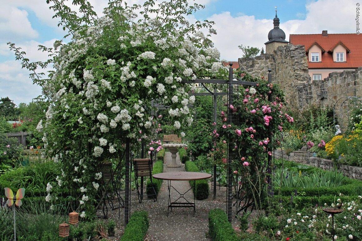 Garten Schlegelmilch (Zeil a.Main, Haßberge)