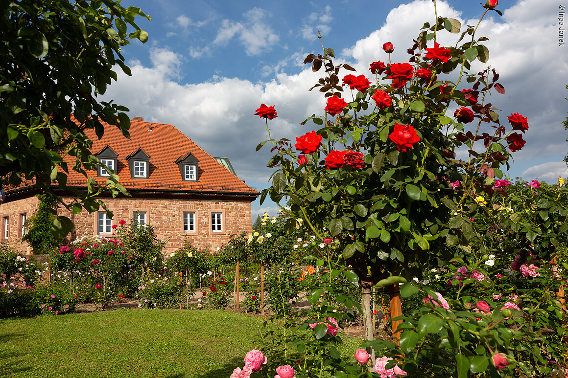 Kochsmühle (Obernburg a.Main, Spessart-Mainland)