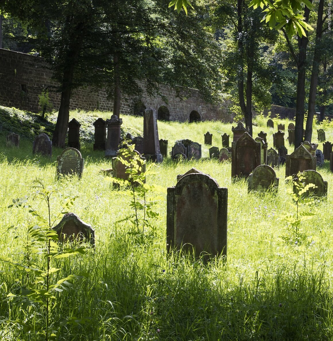 Alter Jüdischer Friedhof (Miltenberg, Spessart-Mainland)