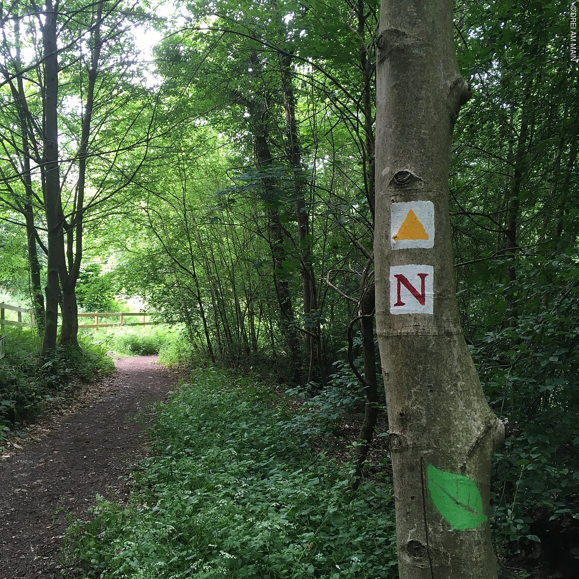 Neue Wanderpfade Miltenberg