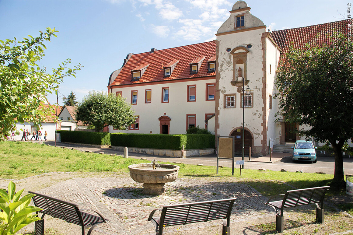 Judenhof (Zell a.Main, Fränkisches Weinland)