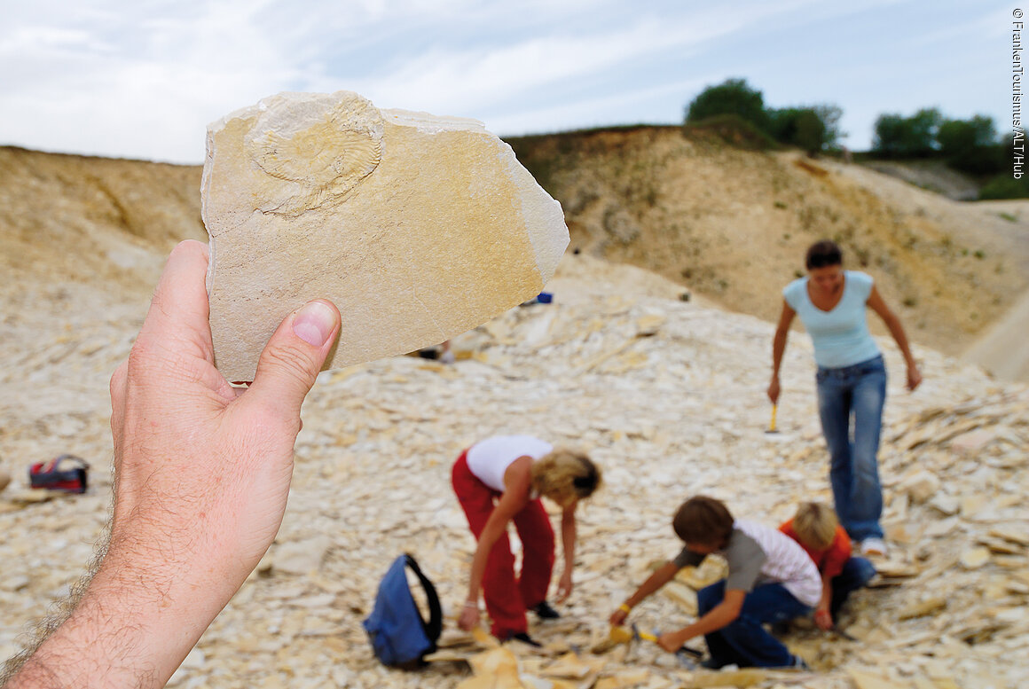 Fossiliensuche (Naturpark Altmühltal)