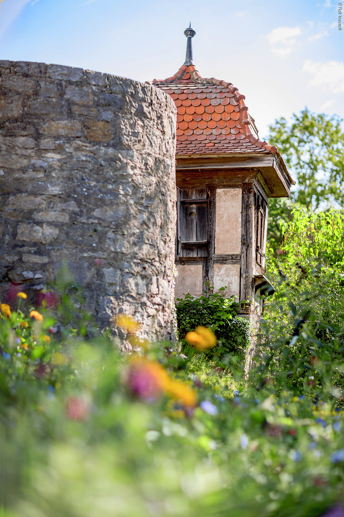 Stadtmauer (Bad Neustadt, Rhön)